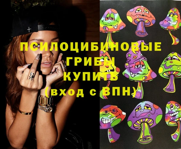 PSILOCYBIN Абинск