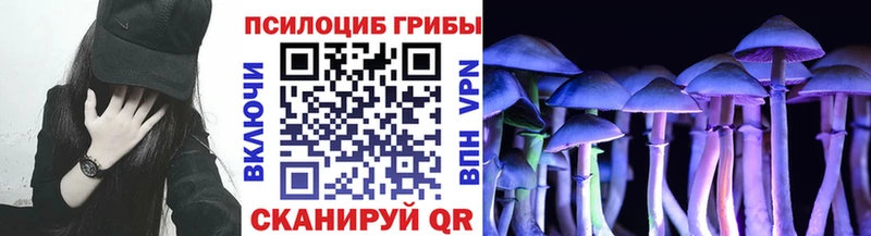 Псилоцибиновые грибы Psilocybe  где можно купить   Елизово 